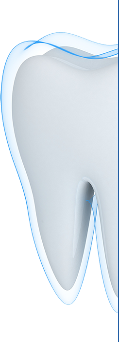 Endotontie Endotontie